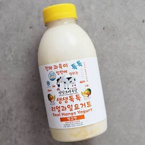 평창보배목장 망고맛 요거트 500ml