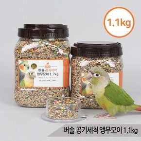 버솔 공기세척 앵무모이1.1kg 코뉴어 왕관 앵무새사료