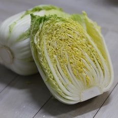  속이 꽉찬 신선한 해남 알배추 A급 6포기