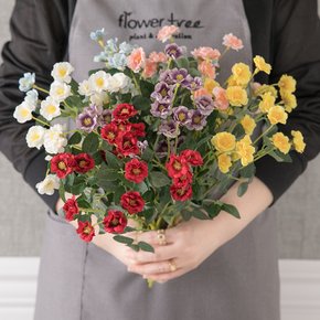 찔레장미부쉬 39cm (6컬러) 조화 꽃 인테리어 플랜테리어 소품