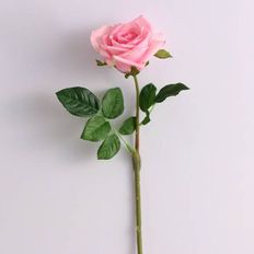 제이큐 로맨틱 느낌 베이직 핑크톤 산뜻한 컬러 장미 조화 X ( 2매입 )