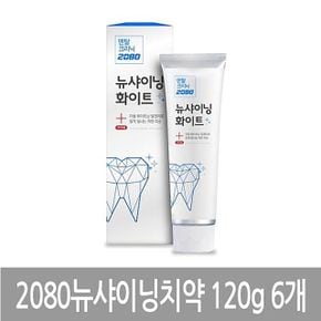 애경 2080 뉴샤이닝 치약 120g 6개