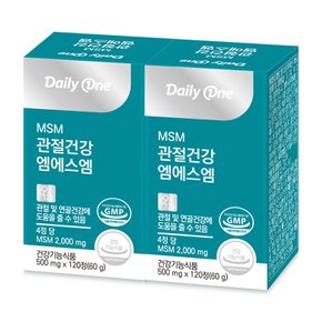 관절 건강 엠에스엠 최대함량 MSM 100% 500mg X 120정 2통