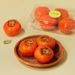 [프리미엄] 연시 650g (4~5입) 팩