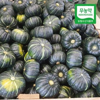 친환경팔도 [산지직송] 함평 정대성님의 무농약 햇 미니단호박(밤호박) 2kg