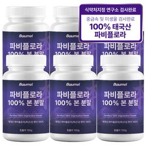 파비플로라 100% 흑생강 뿌리 본 분말 100g 6개