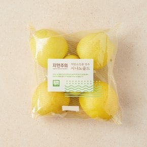 저탄소인증 시나노골드사과 4~7입/봉 (1.3kg)