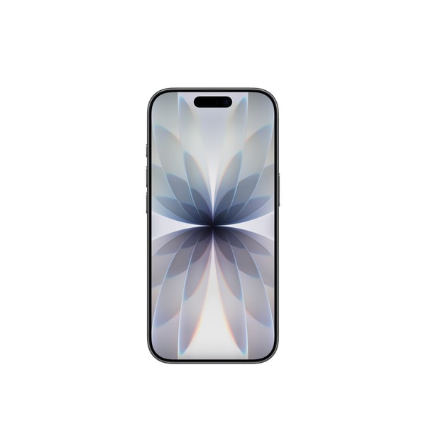 아이폰 17 자급제 256GB 블랙 MG6J4KH/A