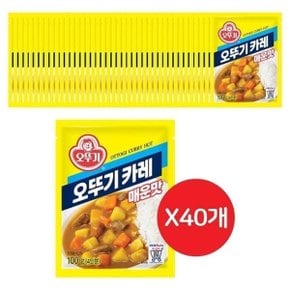 매운맛카레 오뚜기카레 매운맛 100G 40개 간편카레