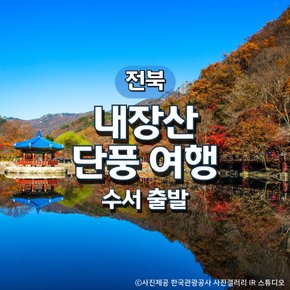 SRT가을 명소 1번지! 내장산 기차여행(수서출발)