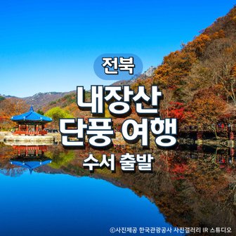 그린데이투어 SRT가을 명소 1번지! 내장산 기차여행(수서출발)