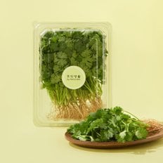 미식생활 유기농 고수 100g