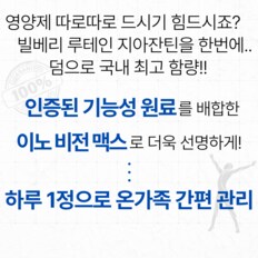 비전맥스 루테인 지아잔틴 빌베리 추출물 90정 2병