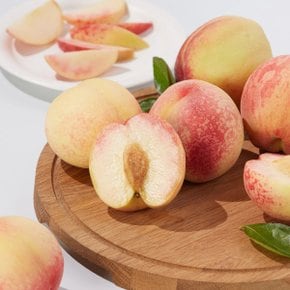 저탄소 백도 복숭아 1.2kg (4~7입)/팩