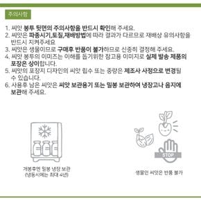 베하몰 텃밭 채소 씨앗 적강 로메인 상추