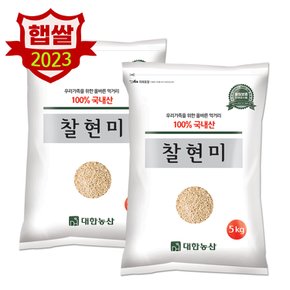 대한농산 국산 찰현미 10kg(5kgx2봉)