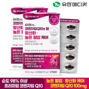 코엔자임Q10 엔 탑 항산화 높은 혈압 케어 60캡슐x2개(4개월)