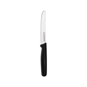 톱니 과도 나이프 과일칼 21cm 블랙 1개