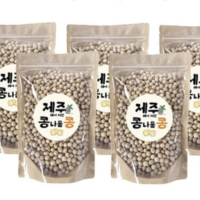 제주에서 자란 콩나물재배용 콩 400gX5봉(총2kg)-재배기 별매
