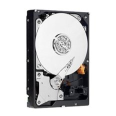 웨스턴 디지털 캐비어 그린 500GB SATA 3.5인치 내장형 하드 디스크 WD5000AADS