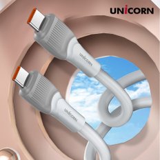 USB C to C타입 100W초고속 충전 데이터 케이블 PLC-1M100W