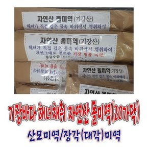 기장특산품 기장바다 해녀가 채취한 자연산 기장돌미역(95Cm,20가닥,0.9~1.1Kg)/대각미역/장각미역/산모미역/해녀미역/기장미역