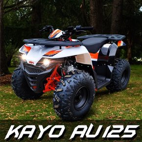 카요 KAYO AU125 2WD 고연비