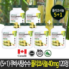 (5+1)쿠바 사탕수수 폴리코사놀 40mg 캐나다 생산 직발송 Policosanol 40mg  쿠바산폴리코사놀 본사직발송 캐나다 식약청 GMP/NPN인증