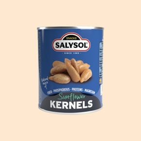 살리솔 해바라기씨 55g[36098968]