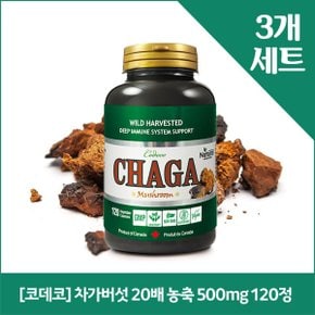 [코데코] 차가버섯 20배 농축 500mg 120정 x3