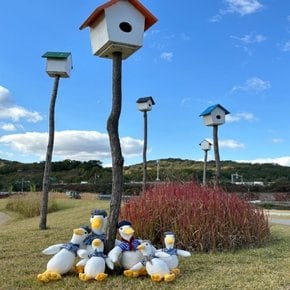 밍소다루 말랑 애착 오리인형