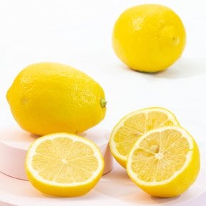 팬시 레몬 60입(소과100g 165과)