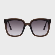 EF49 SUNGLASS BROWN