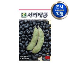 서리태콩 씨앗 30g . 원예 야채 채소 텃밭 파종 재배 주말 농장 씨 종자