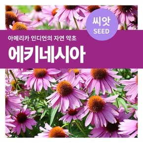 에키네시아 허브 씨앗 100립