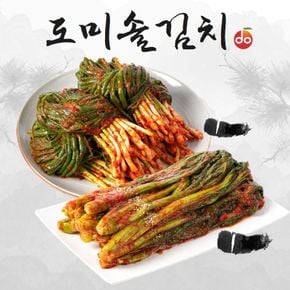 도미솔 맛있는 갓김치 1kg+파김치 1kg(총2kg)[34150465]