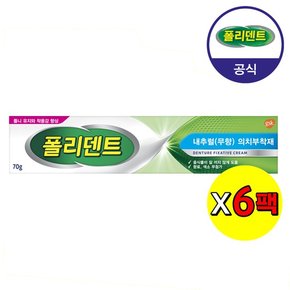 의치 부착재 무향 70g 6개