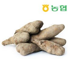 [북안동농협] 안동 산마 (상)3kg
