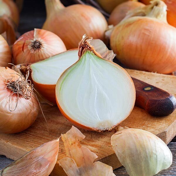 25년 신선한 양파 5kg (중)