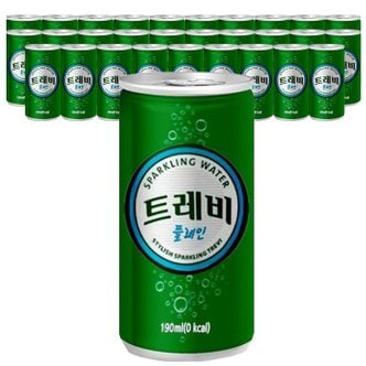  롯데칠성 탄산 트레비 플레인 190ml x 30캔(무배)