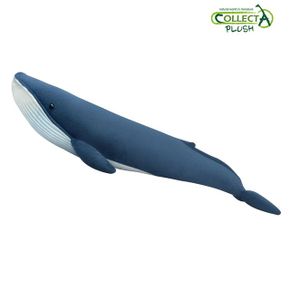 컬렉타 플러시 흰수염고래