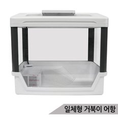 일체형 거북이어항 내부여과기 거북이쉼터 DS-WG300A