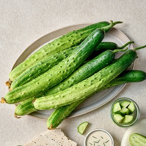 아삭아삭 백다다기 오이 (특) 3kg내외