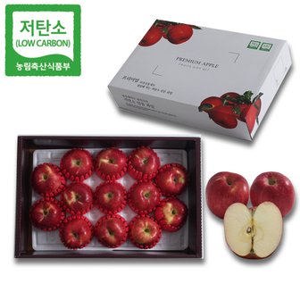  경북 영주 당도선별 실속 사과 선물세트 5kg (12~16과 내외) GAP 저탄소인증 산지직송