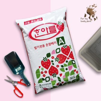 거목산업사 한아름 딸기상토 50L 분갈이흙 딸기 텃밭 배양토 피트모스