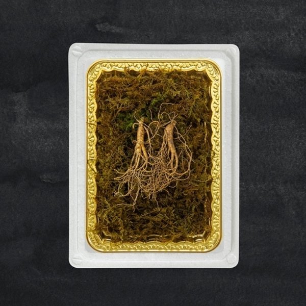 정품 프리미엄 산양삼 5-6년근/2뿌리