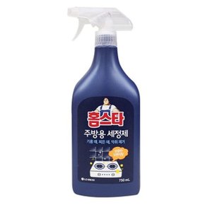 홈스타 주방 세정제 싱크대 세척 기름때 청소 750ml (W7FDA26)