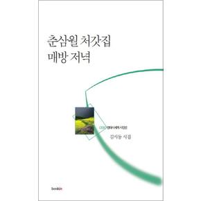 춘삼월 처갓집 매방 저녁 (현대시세계 시인선 90)