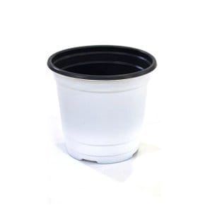 이색포트(흰색)100 비닐포트 화분 모종 분갈이흙