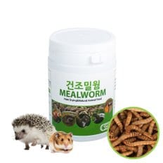 SSP 건조밀웜 25g 새간식 거북이 햄스터 고슴도치간식